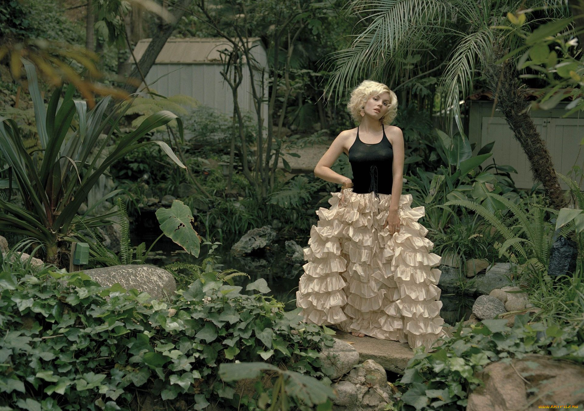 , elisha cuthbert, , , , , 